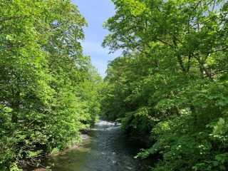 River Tavy from the footbridge